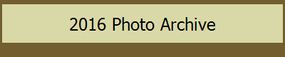 2016 Photo Archive