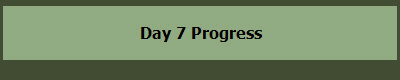 Day 7 Progress