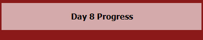 Day 8 Progress