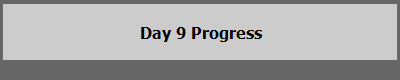 Day 9 Progress