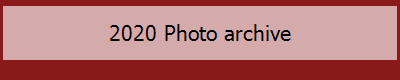 2020 Photo archive