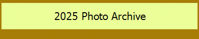 2025 Photo Archive