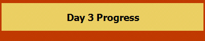 Day 3 Progress