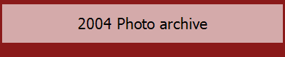 2004 Babe archive