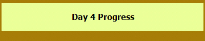 Day 4 Progress