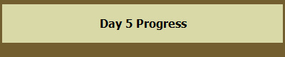 Day 5 Progress