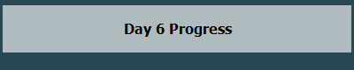Day 6 Progress