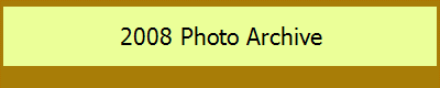 2008 Babe Archive